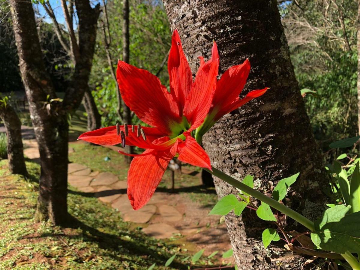 Pousada A Rosa E O Rei Hotel Sao Francisco Xavier Bagian luar foto